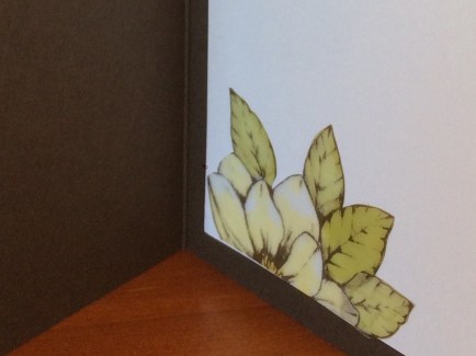 64364313_1097834773749763_8351396850024054784_n