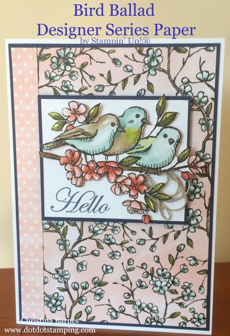 Bird Ballad Designer Series Paper Card 1 Stampin' Up! 2019 Annual Catalogue Christina Barnes Dot Dot Stamping