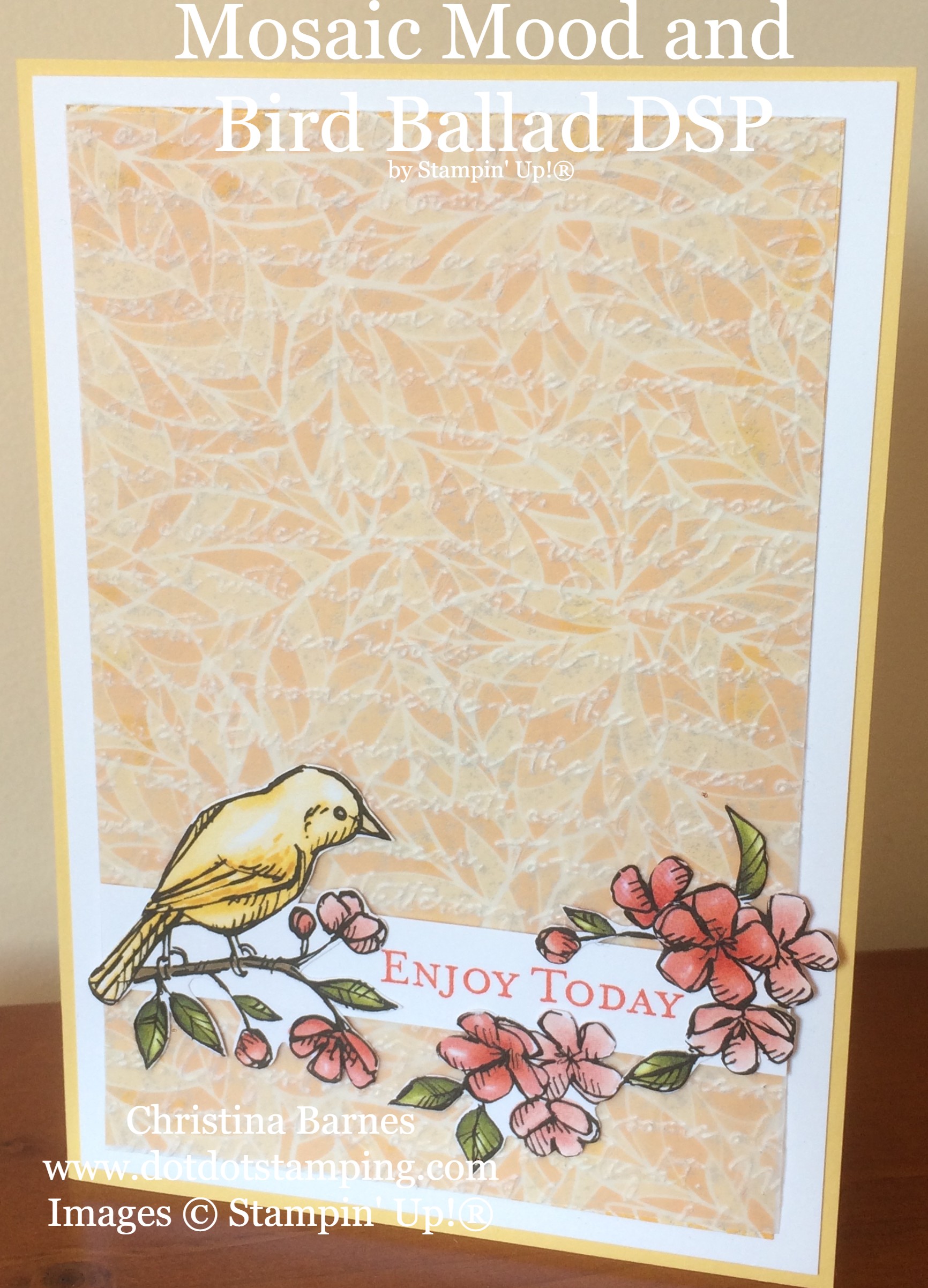 Mosaic Mood Specialty Designer Series Paper and Bird Ballad DSP Card Christina Barnes Dot Dot Stamping Stampin' Up! 2019 Annual Catalogue