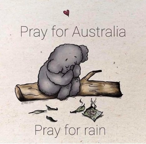 81596782_2279866768979190_7898999917442498560_n