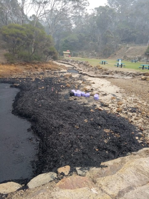 81762555_2488789521383905_363127300054581248_n