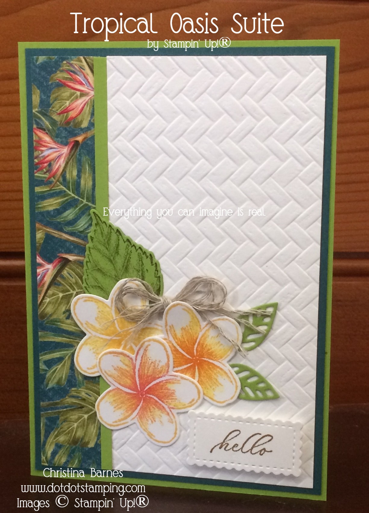 Tropical Oasis Card by Christina Barnes Timeless Tropical Coastal Weave Embossing Folder Dot Dot Stamping