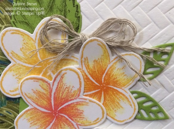 Tropical Oasis Frangipanis Card By Christina Barnes Stampin' Up! 2020 Dot Dot Stamping